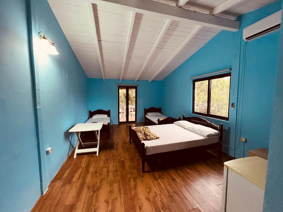 Favela Chic Room Plazhi San Pietro Eksteriør bilde